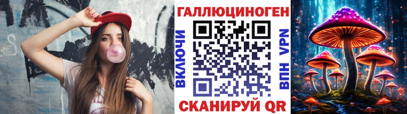 Псилоцибиновые грибы Psilocybine cubensis Кирово-Чепецк
